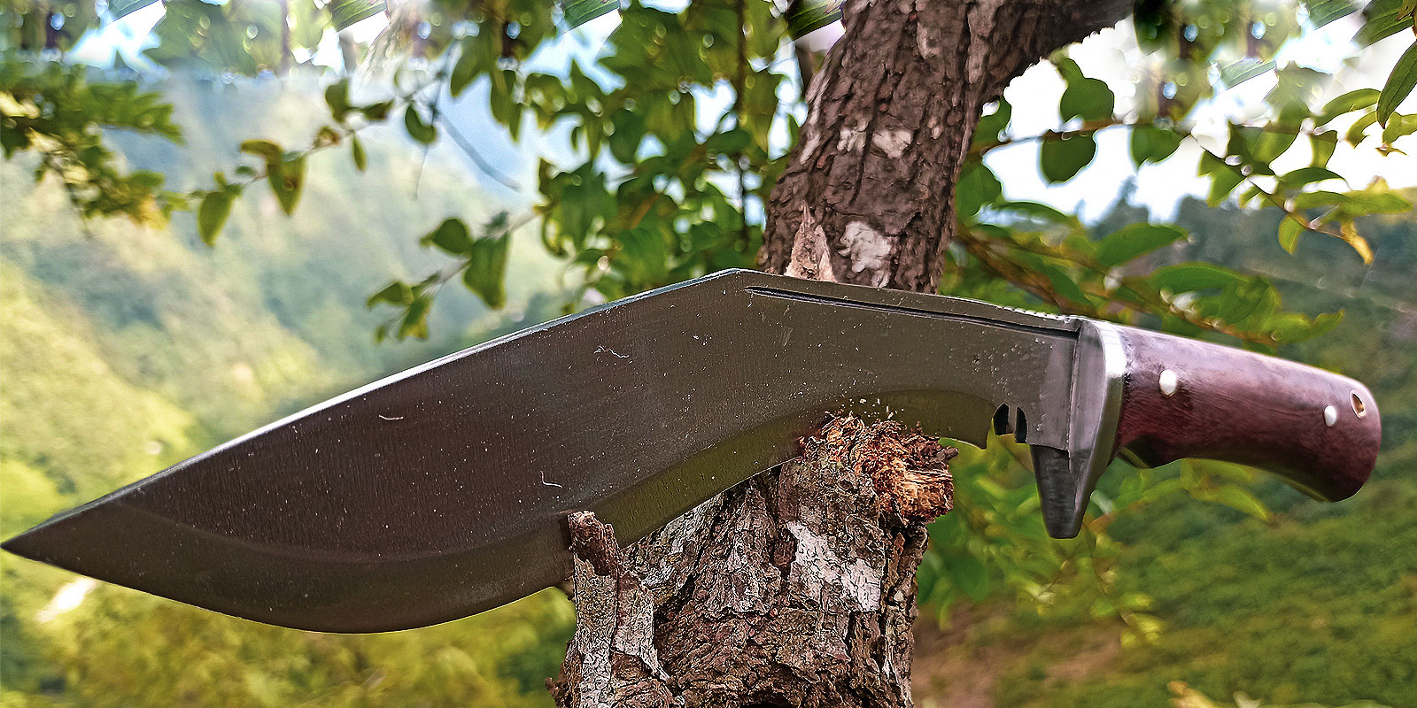 a perfect bushcraft knife for your wilderness challenges..