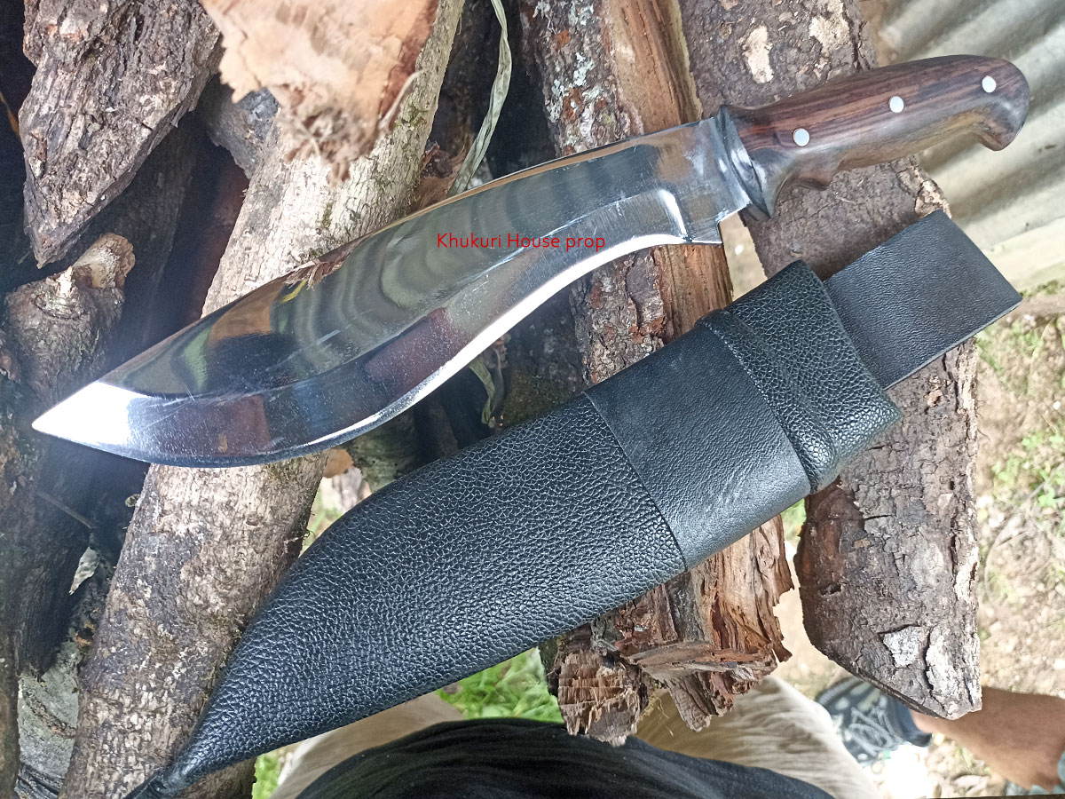 handy size recurve bowie knife