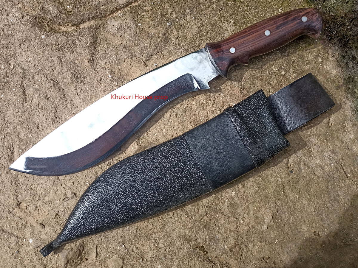 modern bowie with recurve blade profile