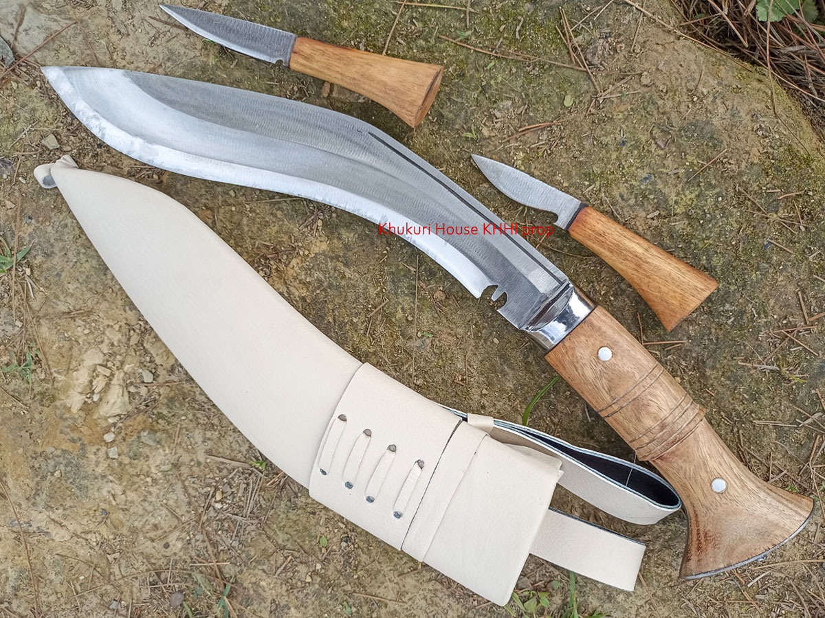 Iraqi Operation Kukri (Desert Frontier)