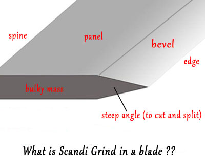 scandi grind blade profile